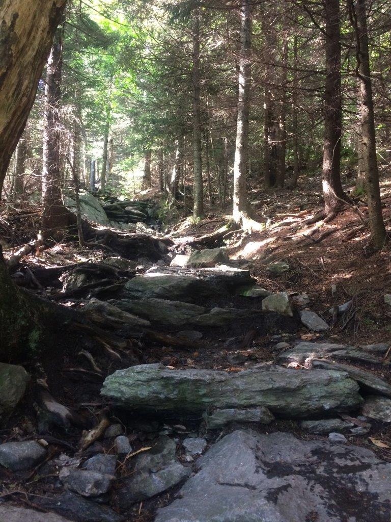 The steep, rocky ascent to Battell Shelter.