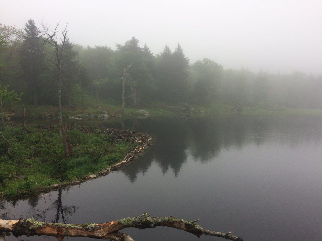 Camping location for first night on the trail by unnamed beaver pond.