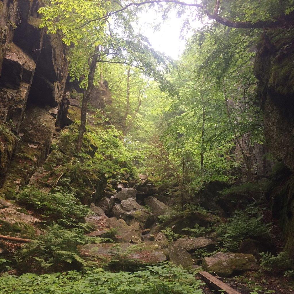 Hiking through Devil's Gulch was super slippery and super fun.