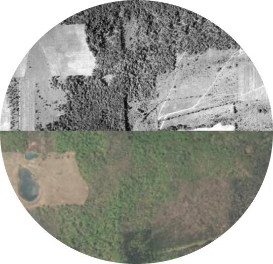 Land cover at Heiberg Memorial Forest (Tully, NY) in 1936 (top) and 2015 (bottom).