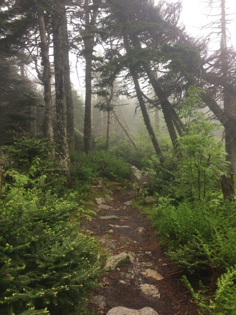 The misty hike up Killington, across windswept conifer forests.