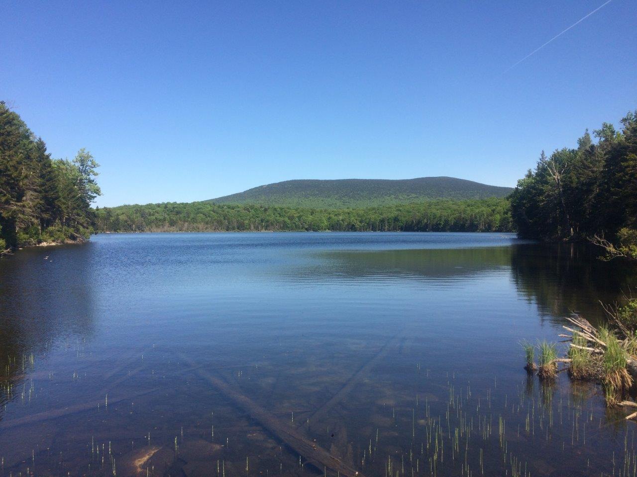 Stratton Pond.